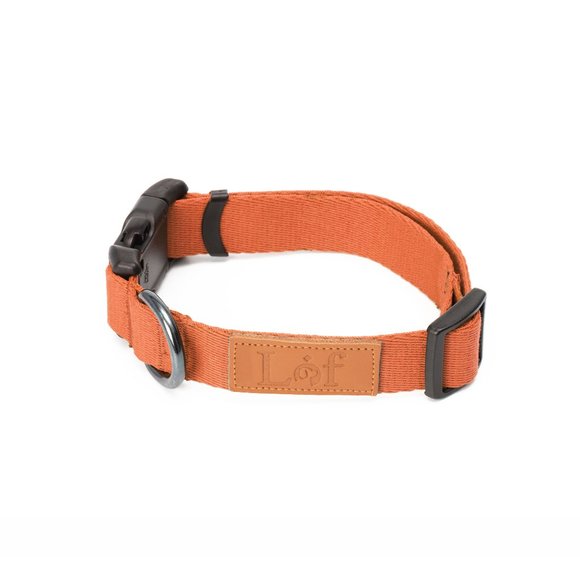 Lof Cantaloupe Classic Dog Collar (S/M/L) - Picture 4 of 6